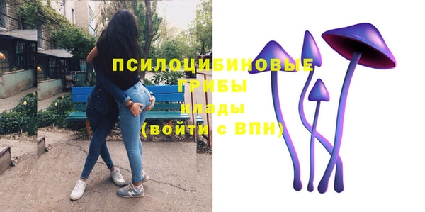 соль ск Балабаново